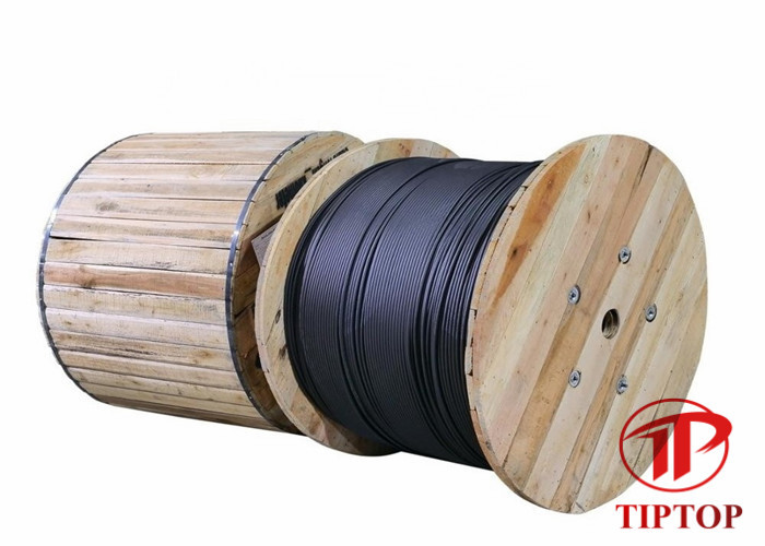 PVC Cover Cold Drawn Seamless SS316L 4 Core Coiled Tubing