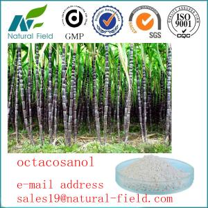 Wholesale China manufacturer Octacosanol from china suppliers