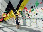 CE Certified M Size Rock Climbing Holds for Climbing Walls in Blue Color and
