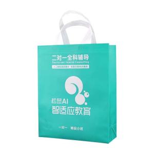 Wholesale Supermarket PP Non Woven Grocery Bags 50Gsm Eco Friendly from china suppliers