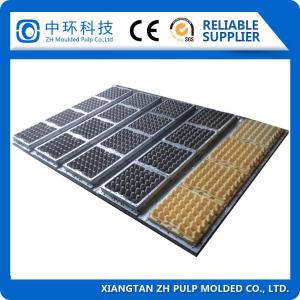 Wholesale Forming Paper Pulp Egg Tray Mold ROHS Certified Aluminum Drawing Format from china suppliers