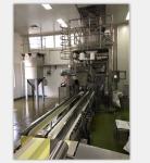 25kg Bagging and Palletizing System