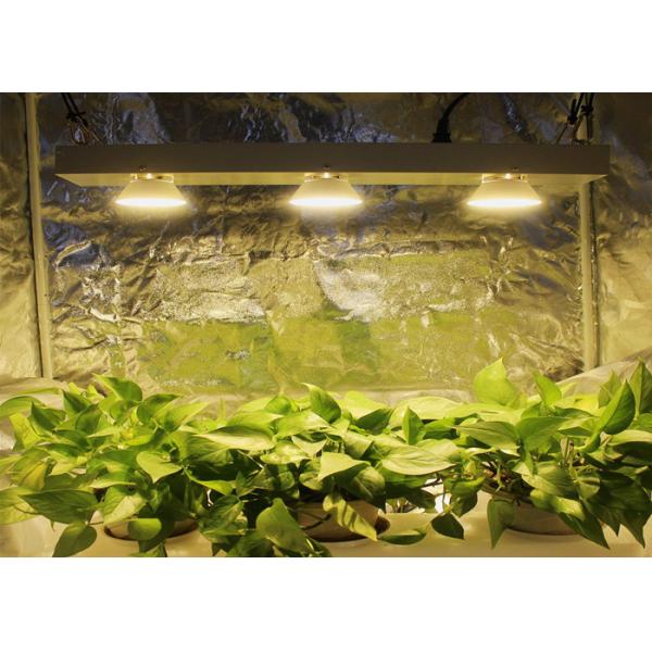 Waterproof Greenhouse Grow Lights / Led Vertical Grow Light With 50W Power