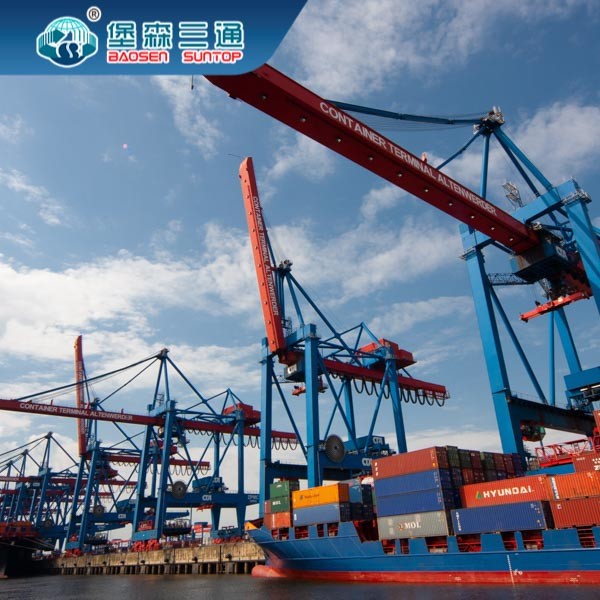 From China To UK / EU Sea Freight Forwarder FCL and LCL Import Export