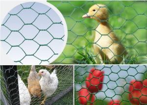 Wholesale Poultry Fence 50mm BWG19 Reverse Twisted Hexagon Metal Mesh from china suppliers