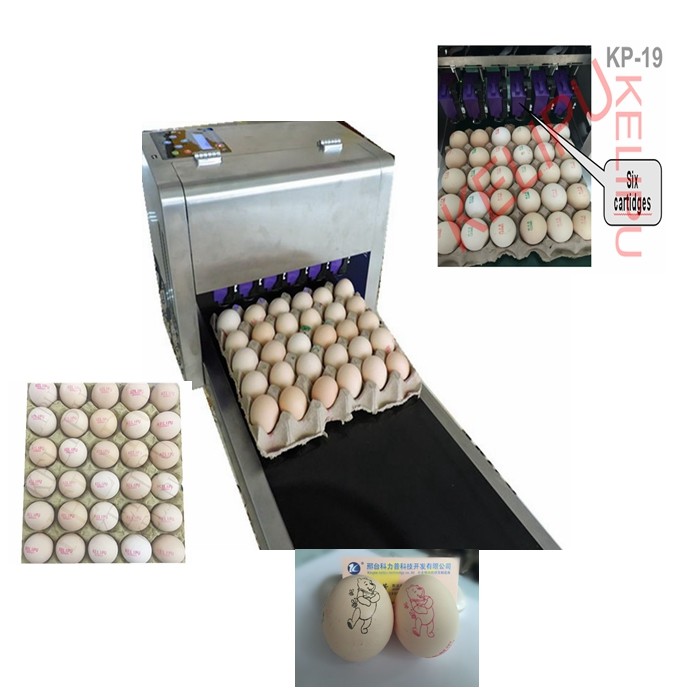 High Performace Egg Jet Printer With Computer Control Dedicated Shuttle Conveyor