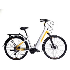 Wholesale 200 Watt 12 Inch Electric Bike Portable Battery 300 Lb Weight Limit 30 Km/H from china suppliers