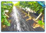 Enviro Vegetable Garden Weed Barrier Agriculture Non Woven Cover Ground Weed