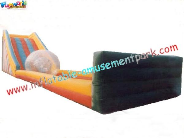 Professional Outdoor Commercial Inflatable Slide for children party, Kids