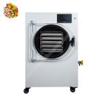 Freeze Dryer Freeze Dryer Food Drying Machine Lyophilizer Freeze Dryer Vacuum