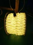 led rope light rgb 220V/110V