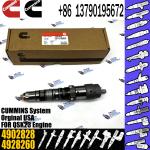 Diesel Engine Parts Fuel Injector 4903472 2360962 2352888 3076130 2530618