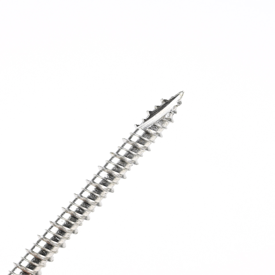 60mm Stainless Steel Vis Autotaraudeuse with Torx Drive and Phillips Washer Hex Head
