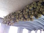 Woven Mesh Chain Link Netting Gates, Styles