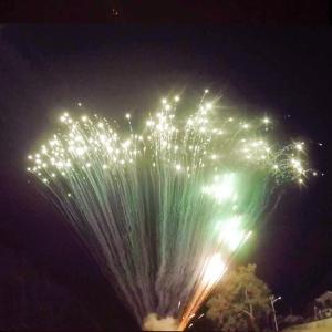 Wholesale Display Professional Big Pyrotechnics 49 Shots Cake Fireworks Salutes from china suppliers