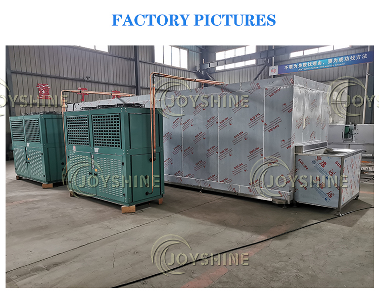 Customized Tunnel Fast Freezing Machine for Fruit and Vegetable Seafood Poultry Parts