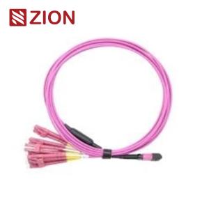 Wholesale 12 Fibers MPO to LC OM4 Fiber Optic MPO-LC 2.0mm Straight harness Cables from china suppliers