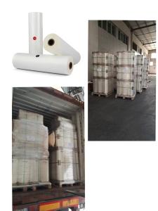 Wholesale Customized size of high-performance glossy Pet film: 16 microns -200 microns from china suppliers