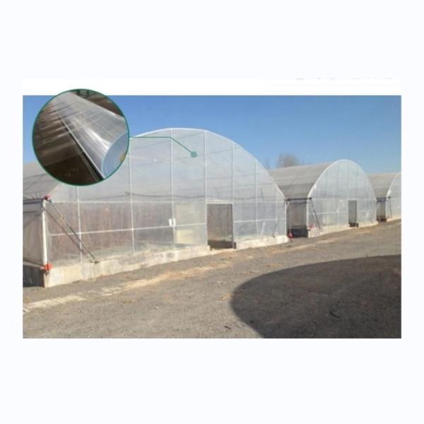 Hot Dip Galvanized Steel Tube Single Layer Film Plastic Tunnel Agricultural