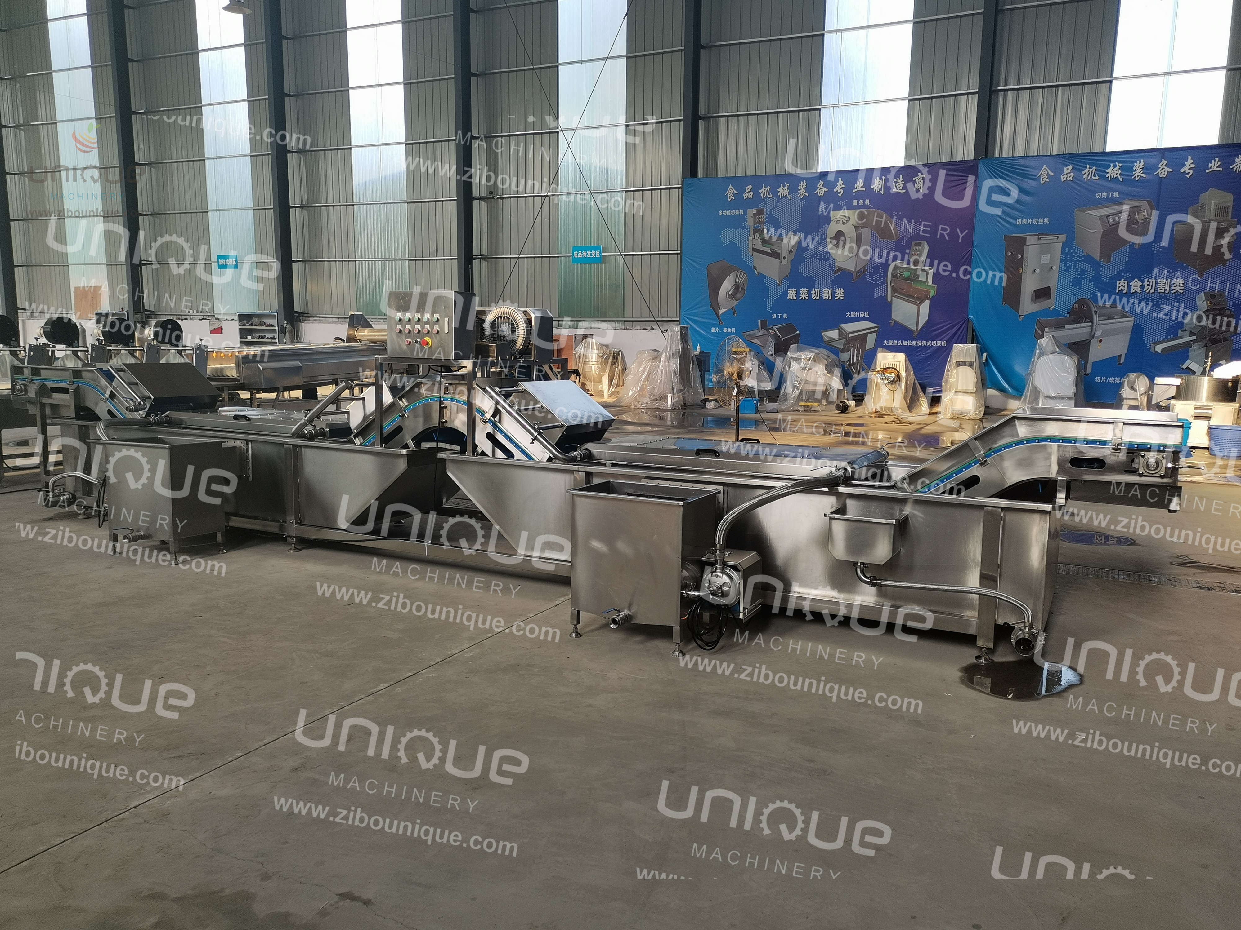 Stainless Steel 304 Onion and Parsley Leaf Vegetable Washing Machine with Performance