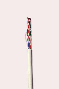 Wholesale Plenum CMP Category 5e Lan Network Cable , 24AWG Cat5e Ethernet Cable from china suppliers