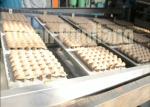 Large capacity 6000 pcs automatic egg tray making machines paper recycling