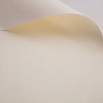 Slat Roll Down Blackout Shades , Bunnings Sunscreen Blinds 100% Polyester