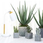 Indoor Small Bonsai Artificial Potted Plant Plants Office Home Decoration