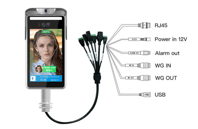 Touchless 0.3s Face Temperature Scanner Kiosk With Facial Recognition