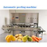 Stainless Steel Mango Peeling Machine Suitable For Apples Potatoes Carrots Etc.