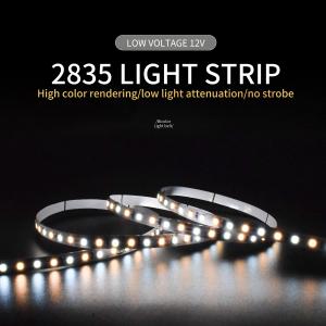 Wholesale CE Certificate Led Strip 2835 Smd Outdoor Lighting Dual Color Temperature 120 Beads from china suppliers