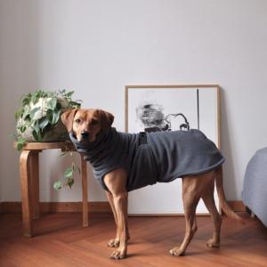 Wholesale OEM Windproof Waterproof Fleece Dog Coat Suit Machine Washable from china suppliers