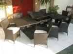 9pcs rattan sofa set.