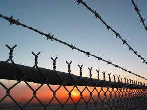 Wholesale 8ft 9 Gauge Diamond Chain Link Fencing Galvanized Steel 220g/m2 Zinc from china suppliers