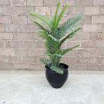 Fiber Clay Flower Pot Small Size Bowl Planter Box For Indoor Outdoor Home Garden