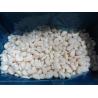 Buy cheap IQF frozen garlic cloves from wholesalers