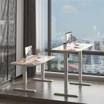 Modern 2 Stage Smart Electric Height Adjustable Computer Gaming Desk for Living