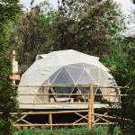Custom Print 2 Person Outdoor Arabic Camping Geodesic Dome Tent For Sale