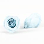 A Grade 5-6cm Preserved Flower Heads For Floral Design