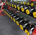 Wholesale Commercial Gym Fitness Equipment Urethane Dumbbells