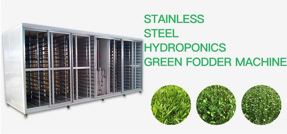 Animal Fodder Hydroponic System Barley Germination Machine 100kg Per Day