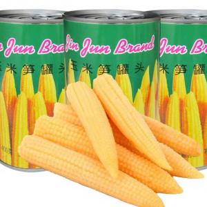 Wholesale Peeled 454g Canned Fruits Vegetables Canned Baby Corn In Brine from china suppliers