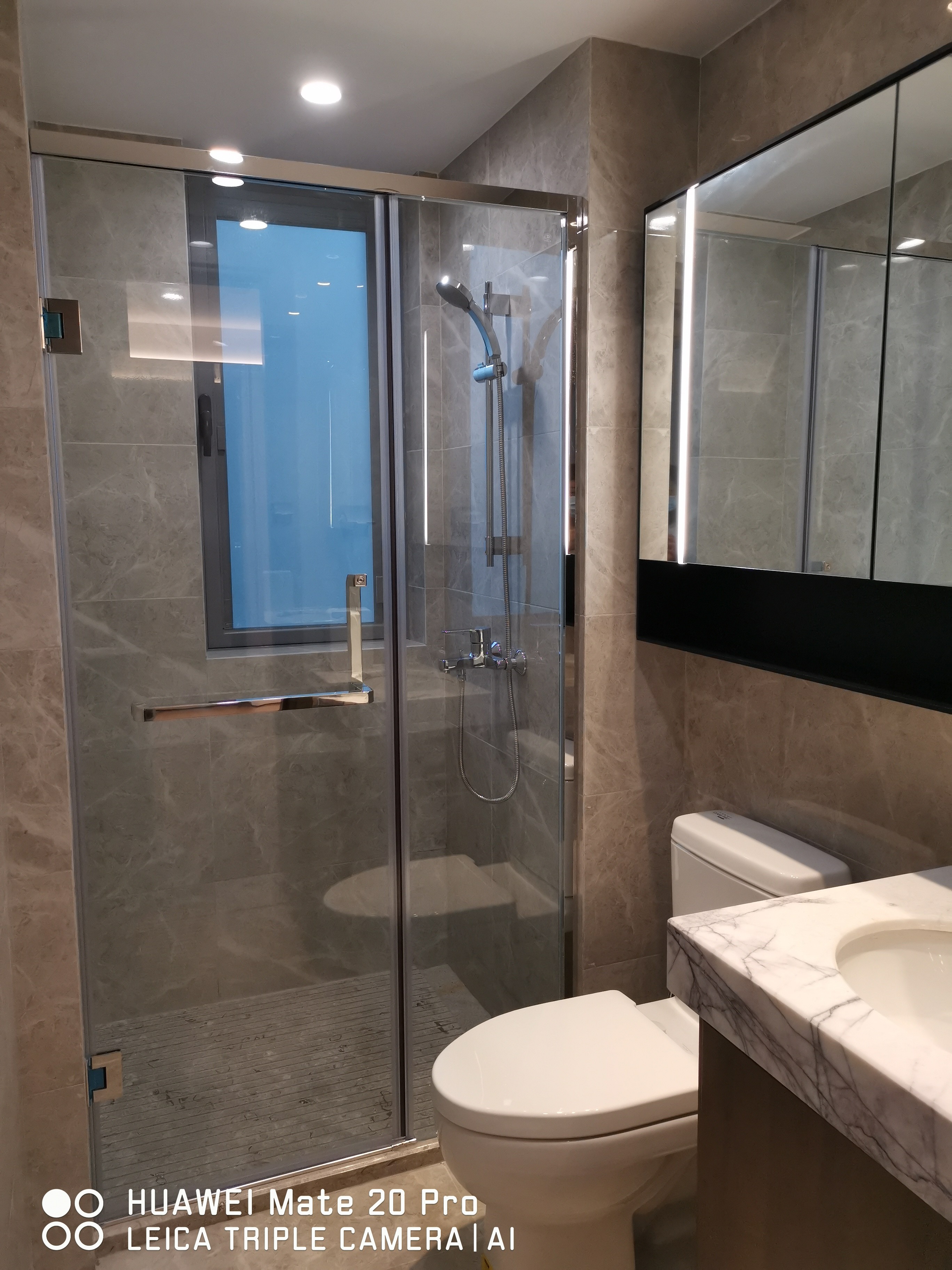 SGCC Tempered Glass Shower Enclosure Stainless Steel Hinged Swinging Shower Doors