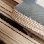 Grey Color Birch Core Phenolic Glue Film Faced Plywood