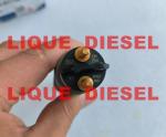 BOSCH Common Rail Injector 0445120250 0 445 120 250 445120250 0445 120 250