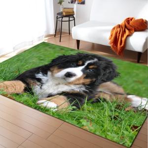 Wholesale Creative Living Room Floor Carpets Anti Skid Dining Room Floor Mat from china suppliers