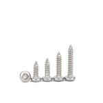 Self Tapping Screw All Kinds of SS304 Stainless Steel 100% Inspection Before