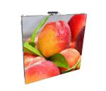 P5 Outdoor Panel 25W AC 220V 160x160mm Constant Drive LED Advertising Billboard