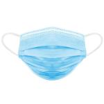 3 Ply Disposable Surgical Mask , Earloop Face Masks For Germ Protection