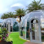 Experience the Ultimate Outdoor Getaway in Our Transparent Bubble Room for